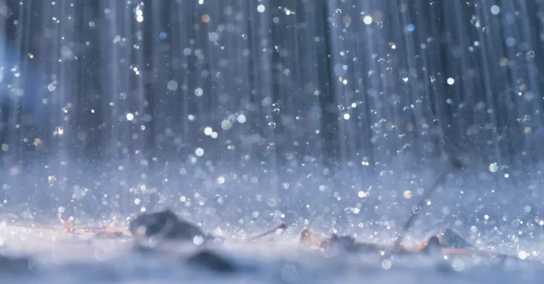 Rainy Day Memories Nguyen Si Kha • Rainy Day Memories • 2023