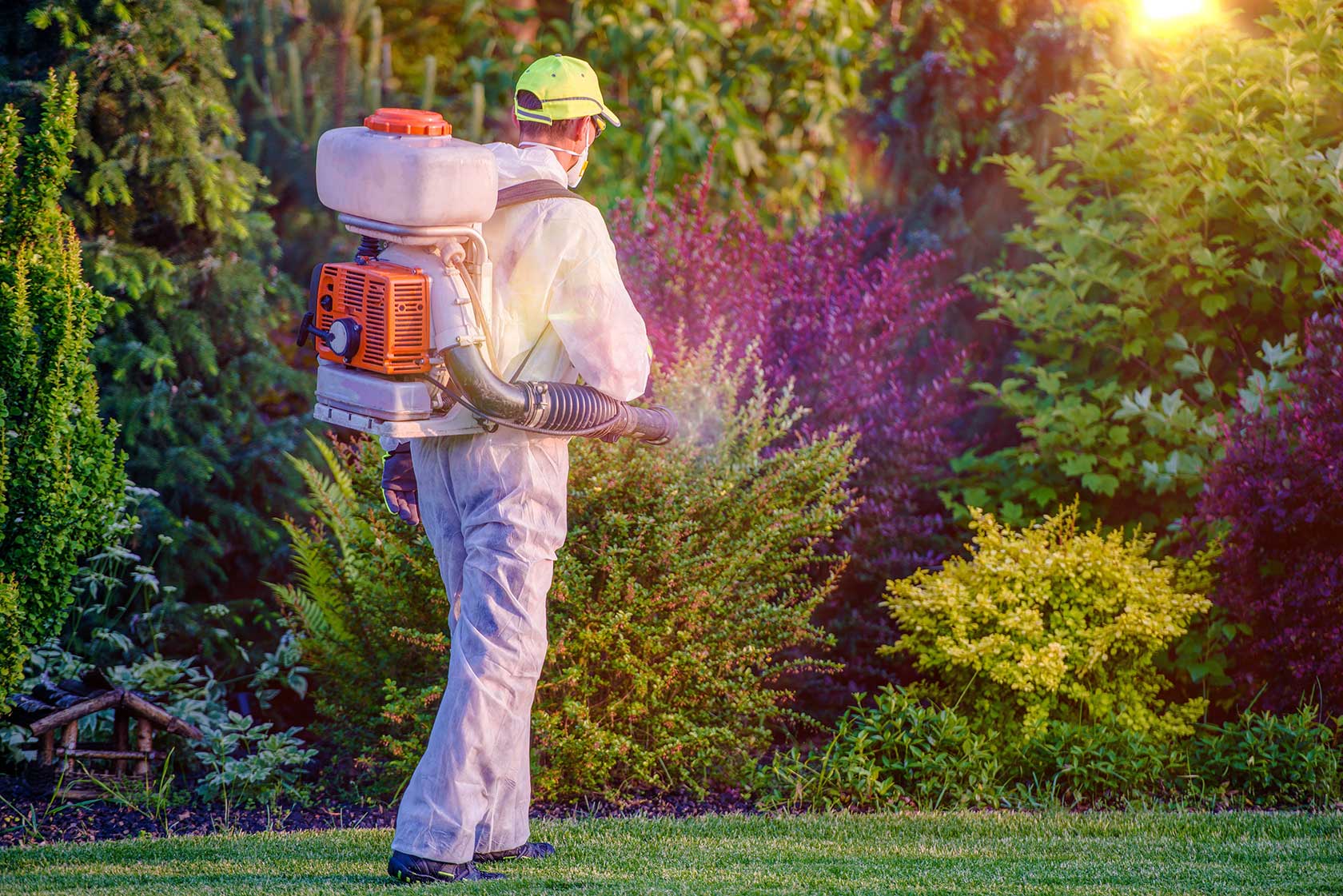 Mastering Garden Pest Control: 5 Essential Tips